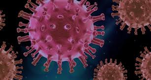 Pretty dangerous covid virus, picture IN PINK